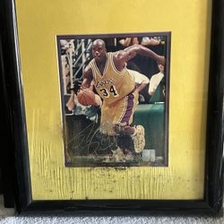 Sports Memorabilia