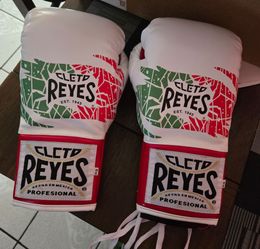 Cleto Reyes Safetec pro boxing gloves