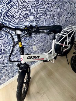 Bici electrics