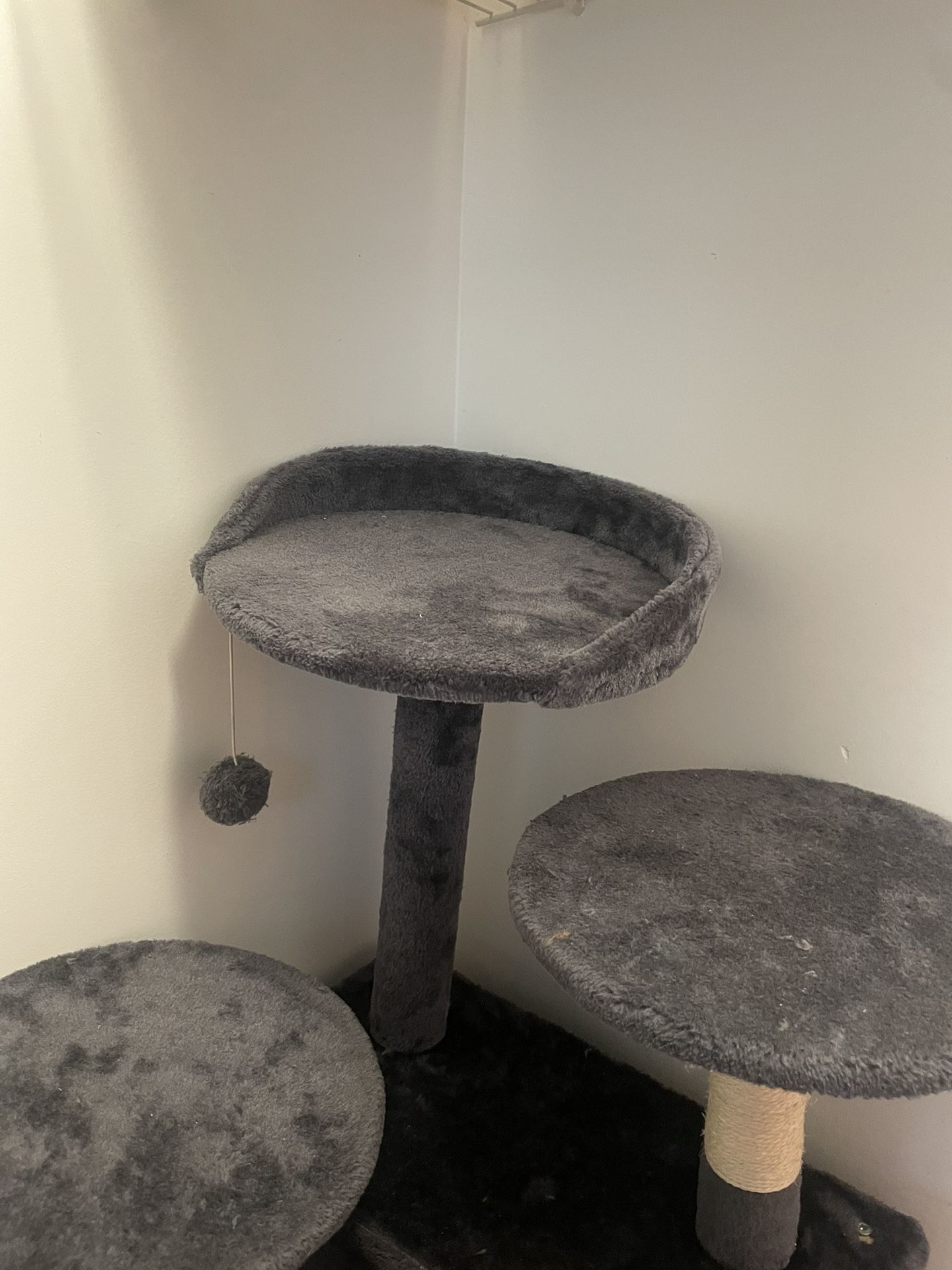 Cat House