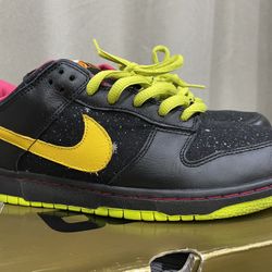 Size 11 Nike SB “Space Tiger”