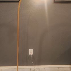 Beautiful Floor Lamp