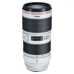 Canon - EF70-200mm F2.8L IS III USM 