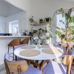 Mid-Century Modern Dining Chairs Set Of 4