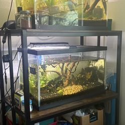 10gal TANK + 3 TEIR TANK STAND