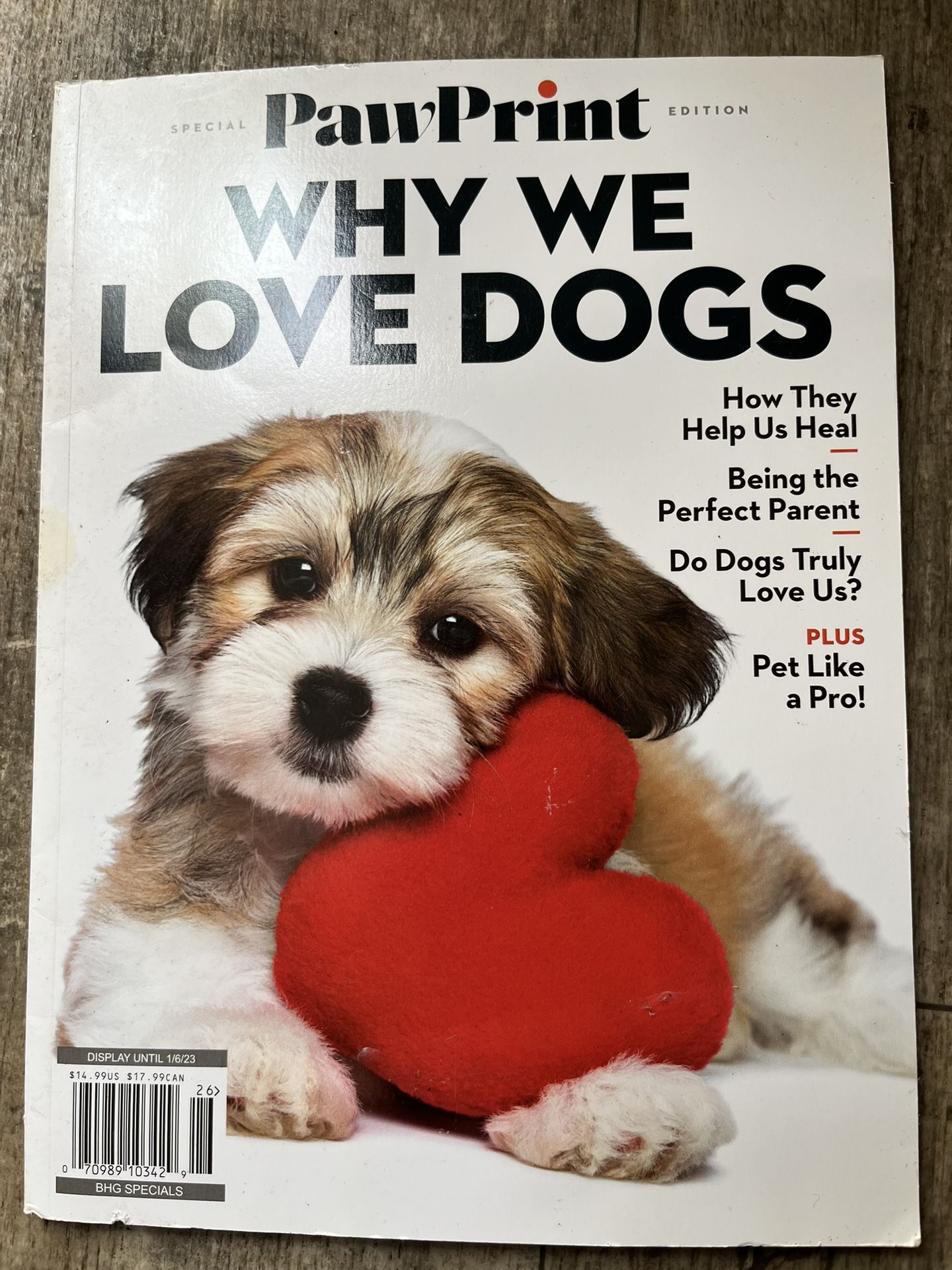 Why We Love Dogs