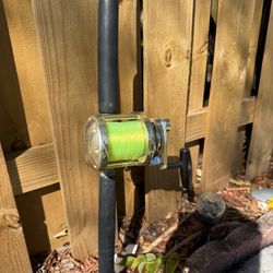 Avet pro exw 4/02 2 speed Fishing Rod And Reel Combo