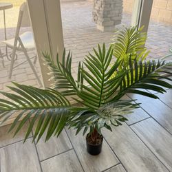 PLASTIC GREEN PLANT