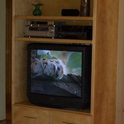 Custom entertainment Unit