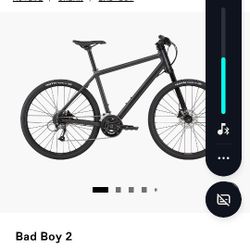 Cannondale Bad Boy 2 Hybrid Bicycle 
