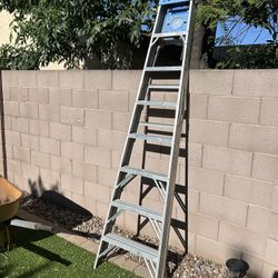 8 foot werner ladder 