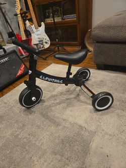 Besrey Tricycle/Bicycle Bike