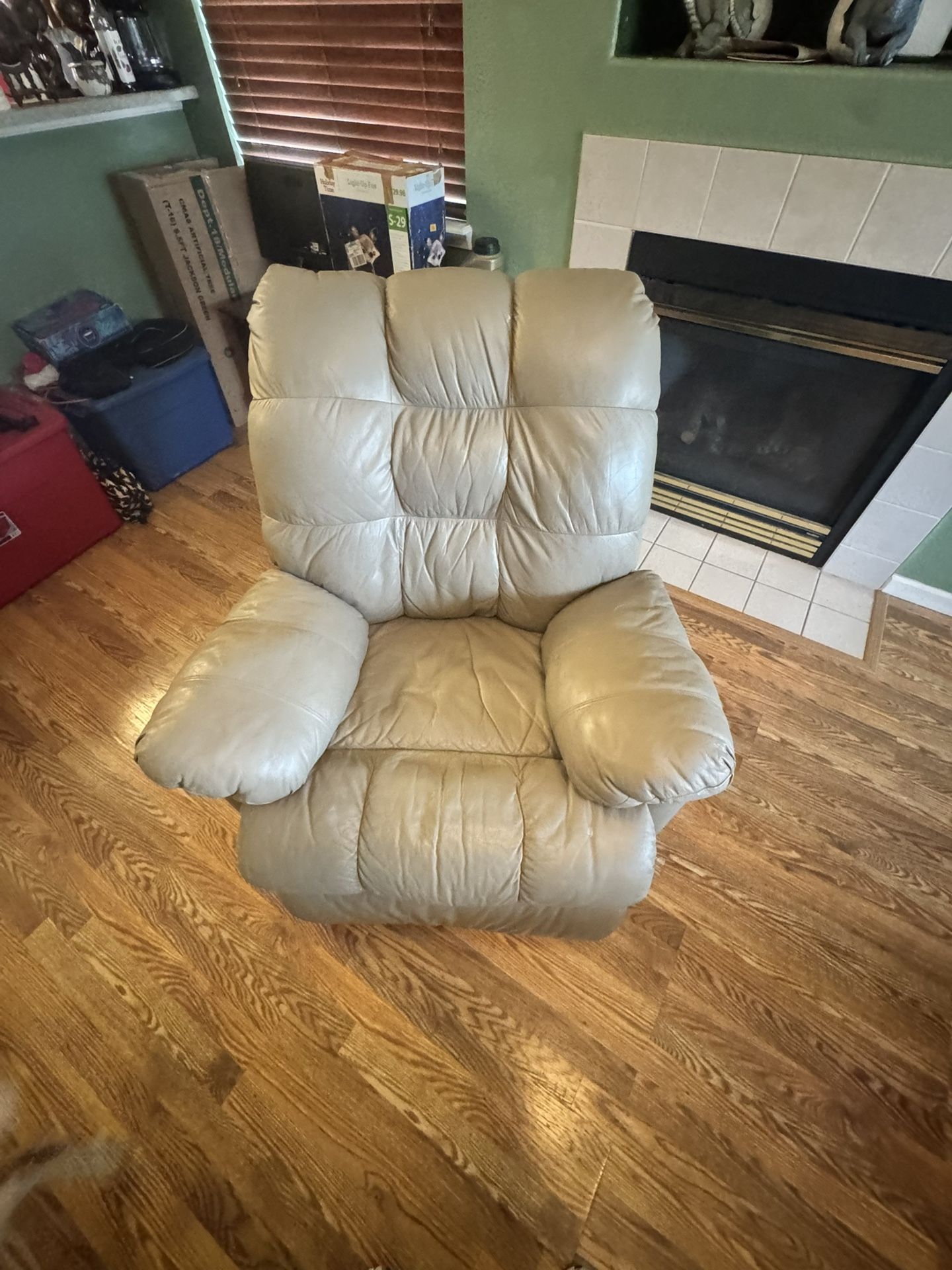 Leather Recliner