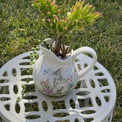 Very Healthy Shrek Ears In Ceramic Pitcher Jar 