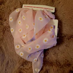Pet Bandana and Scrunchie Set