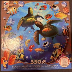 550 Piece Puzzle by Ceaco