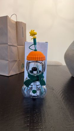 Snoopy Starbucks cup