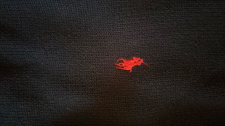 polo ralph lauren sweater black