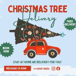 Christmas Tree Near Me • Delivery Included