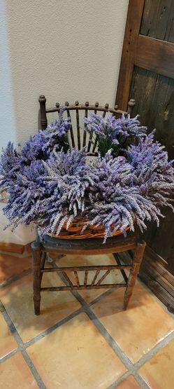 Lavender Bunch 1ct