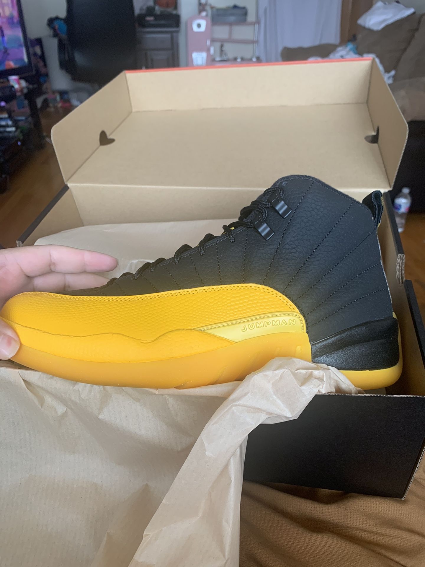 Air Jordan 12