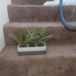 Fake Plant In Planter