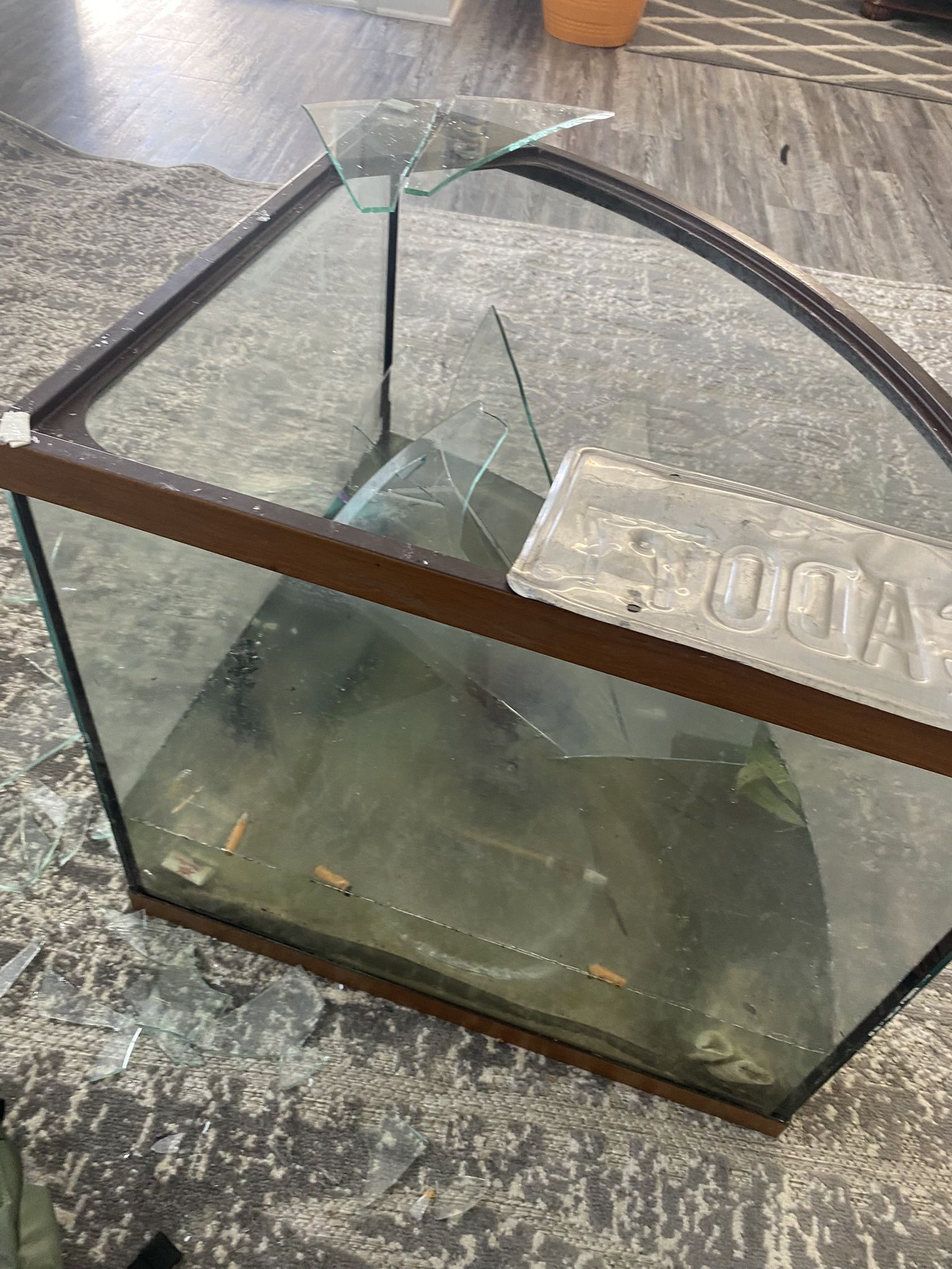 Fish Tank