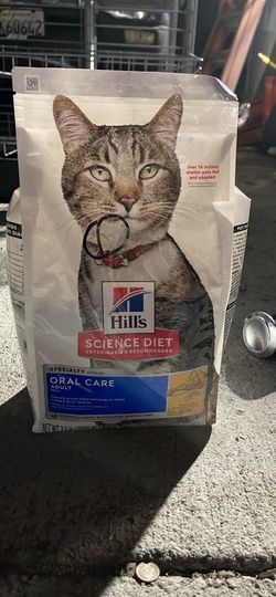 Cat Food/Comida Para Gato