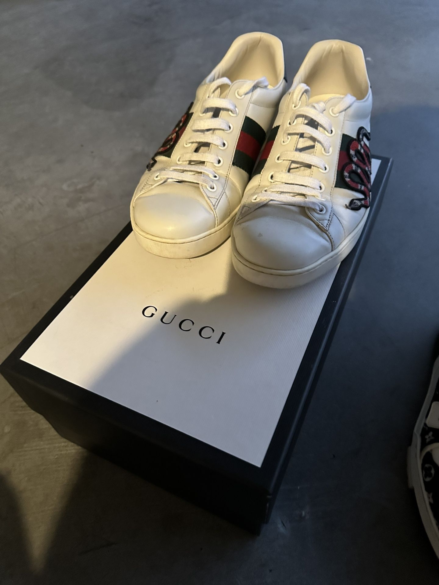 Gucci sneakers