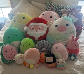 Squishmallows Lot