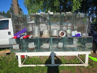 Cage rabits