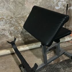 Gym Preacher Curl Bench