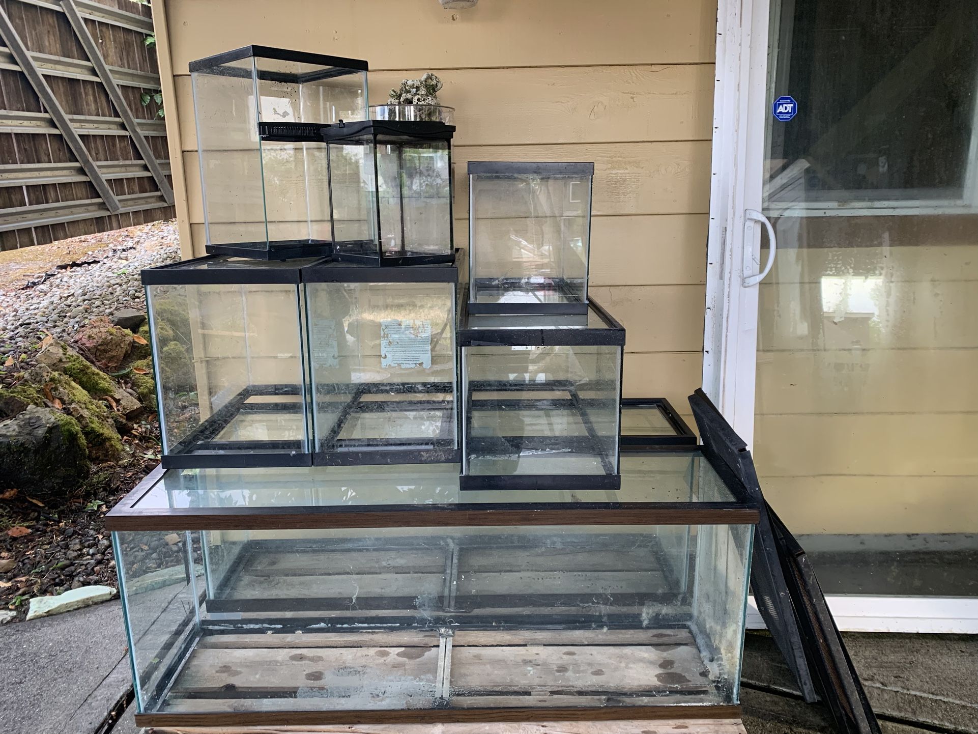 Reptile And Fish Tanks