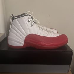 Jordan Retro 12s 