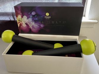 Zumba Weights