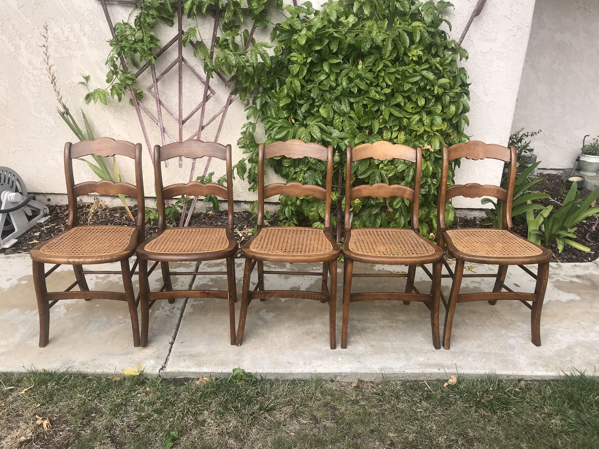 Antique Wooden Woven Chairs