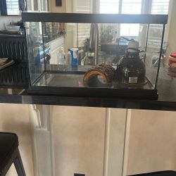 Reptile Tank With Light 191/2 Inches Long By 12inches Tall 