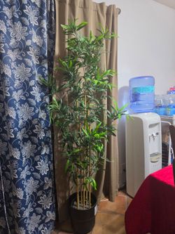 Artificial bamboo tree 20.00