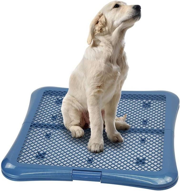 Dog Pad Holder Mesh Training Tray
