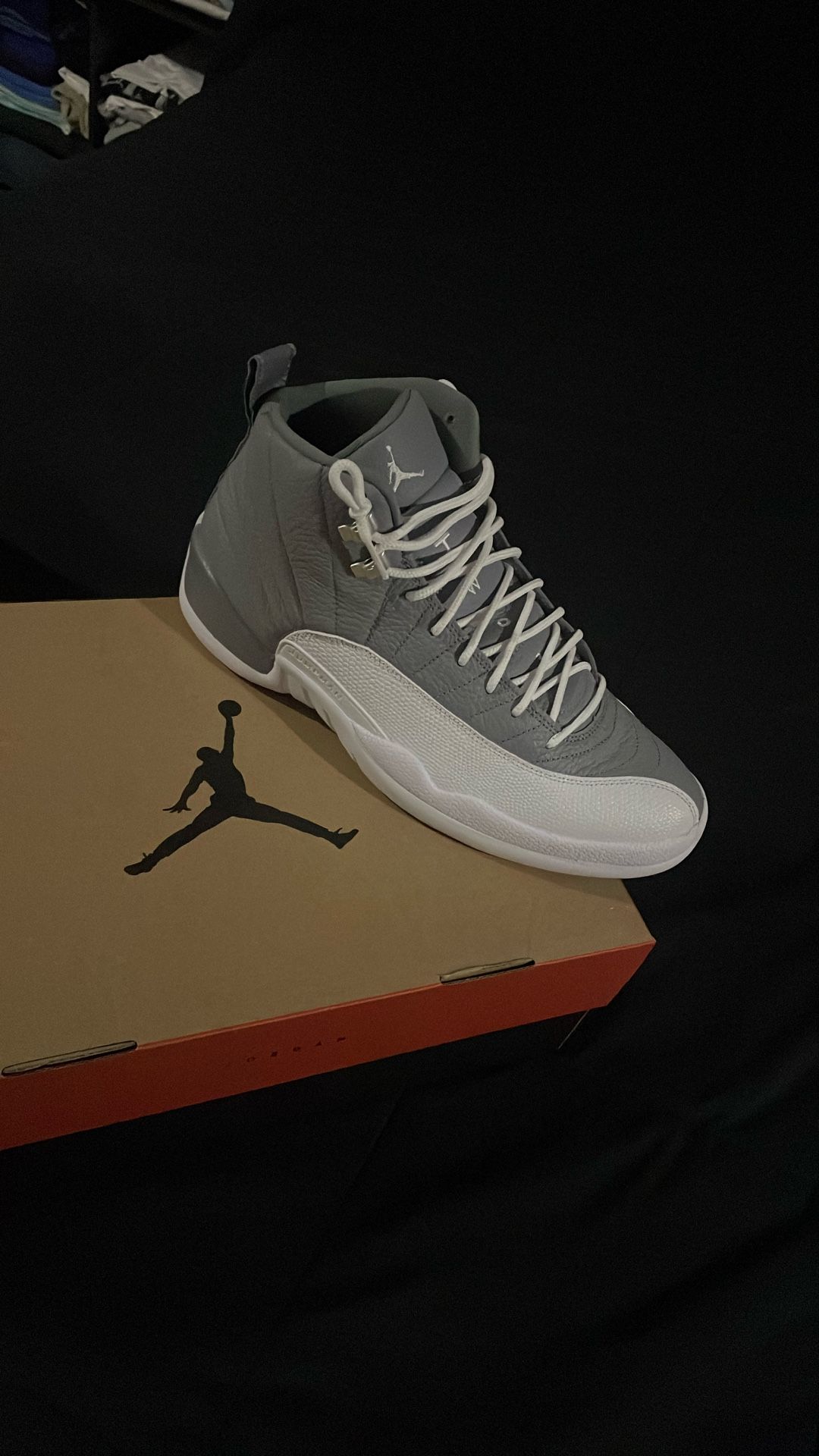 Jordan 12 Stealth