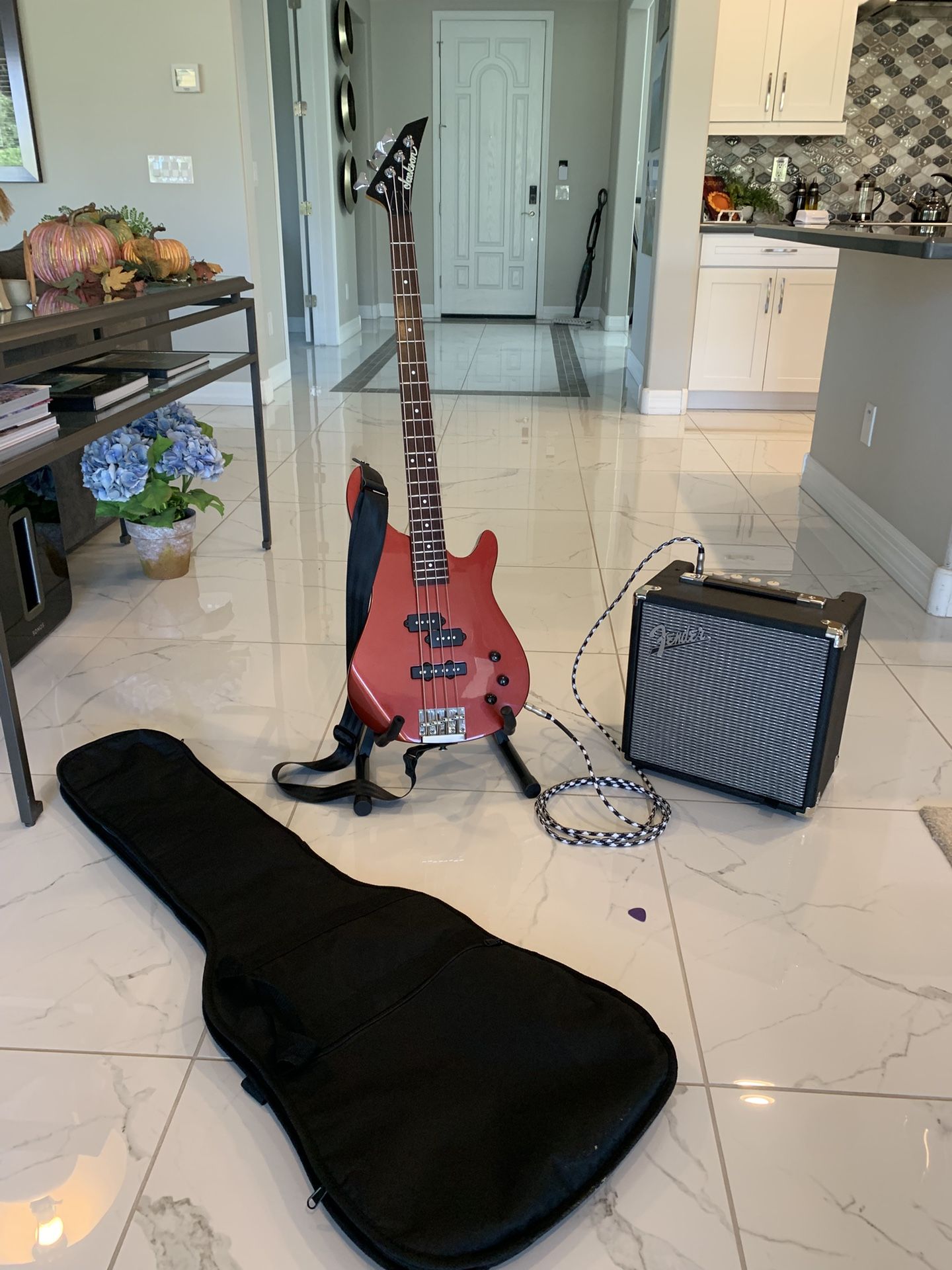 Fantastic Starter Bass Rig!