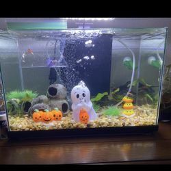 10 Gallon Rimless Fish Tank