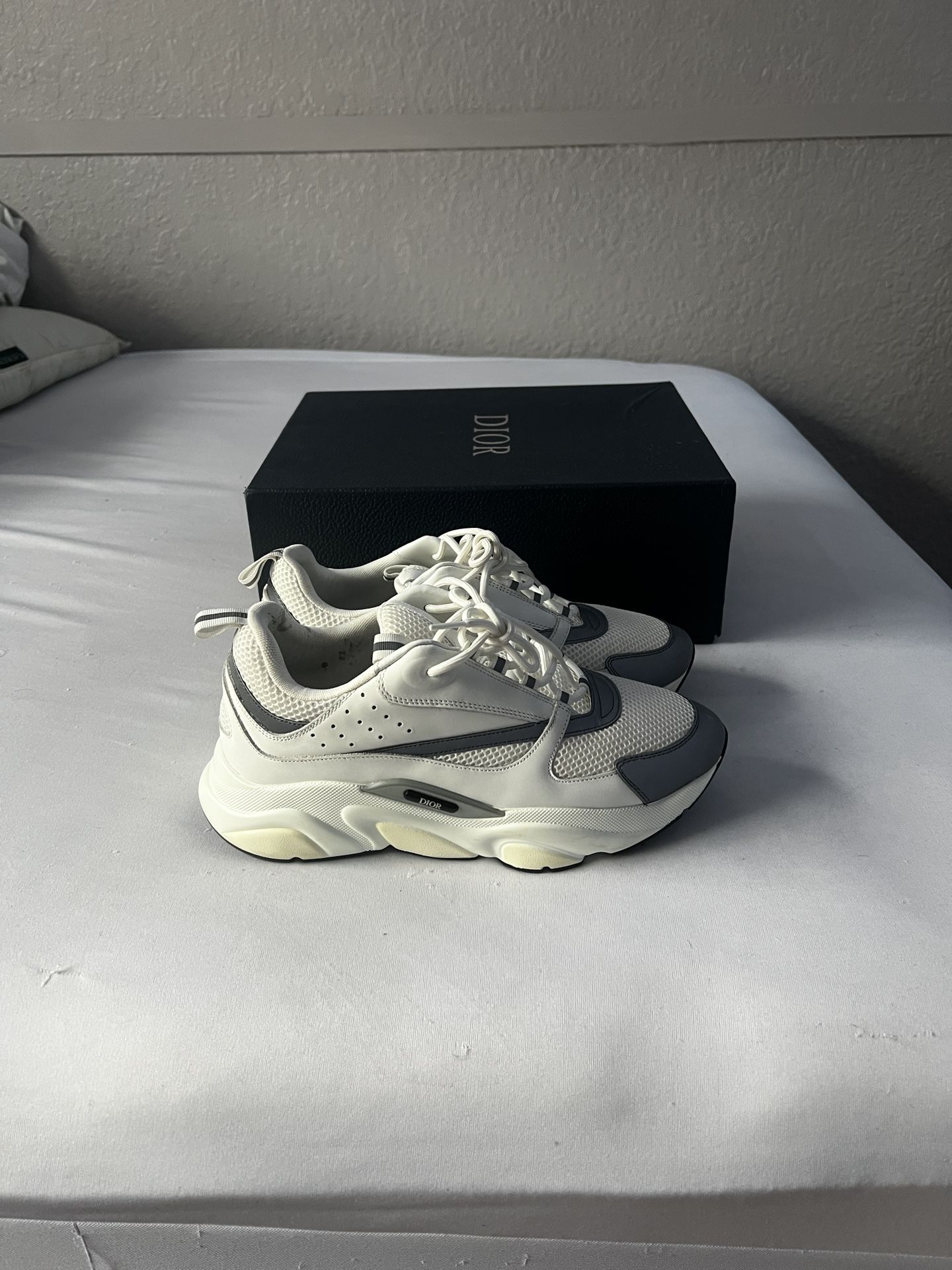 Dior B22 White Silver