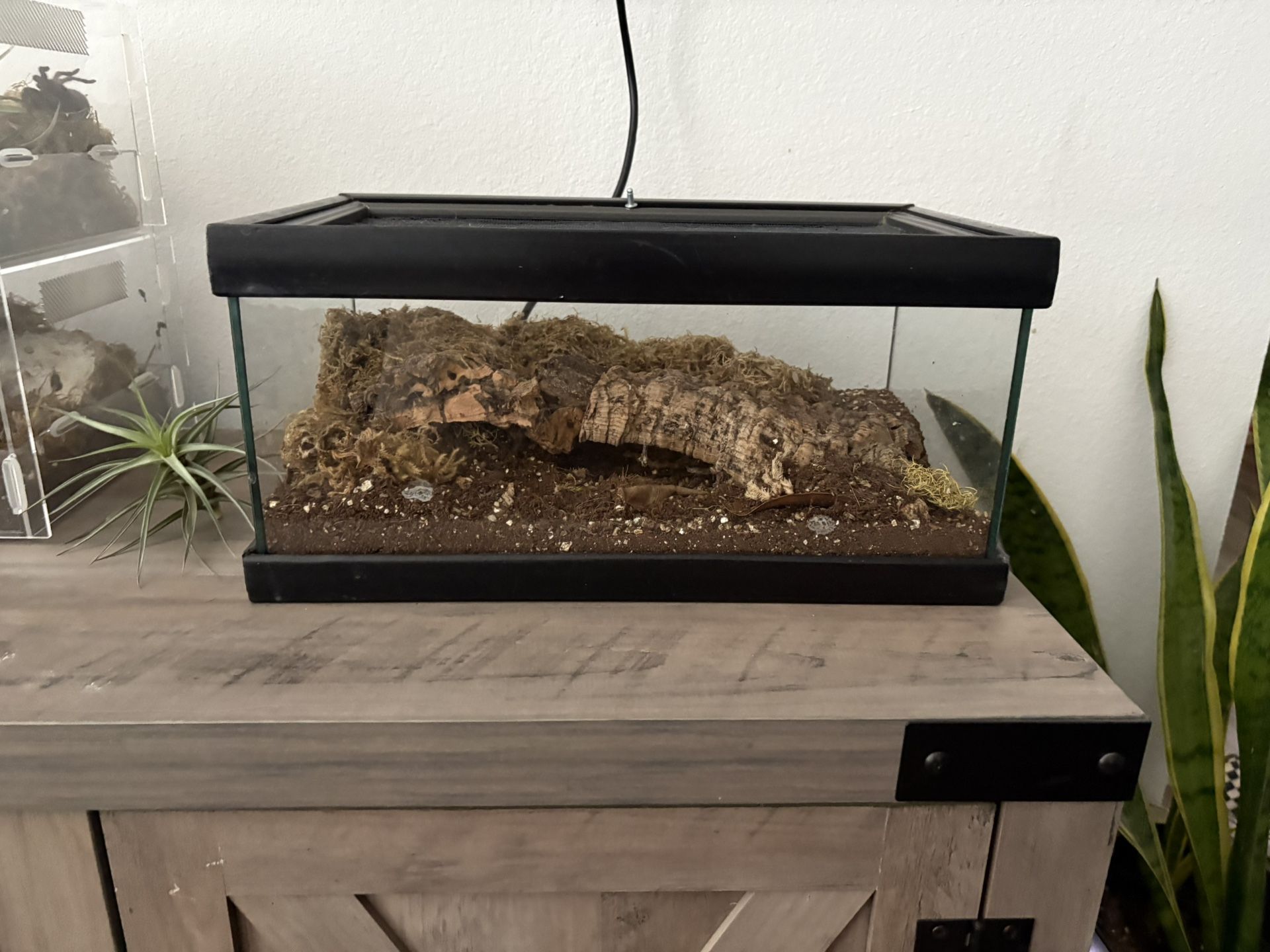 Glass Tank