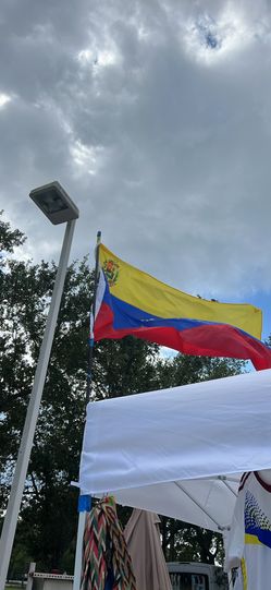 Bandera Venezuela Y Más