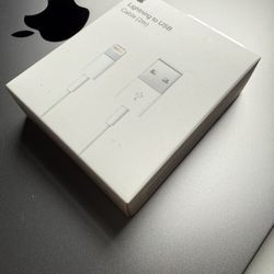 iPhone Charger 