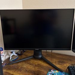 Gaming/Computer Monitor Samsung G3 