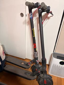 Bird scooters