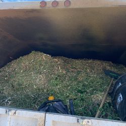 Free Wood Chips