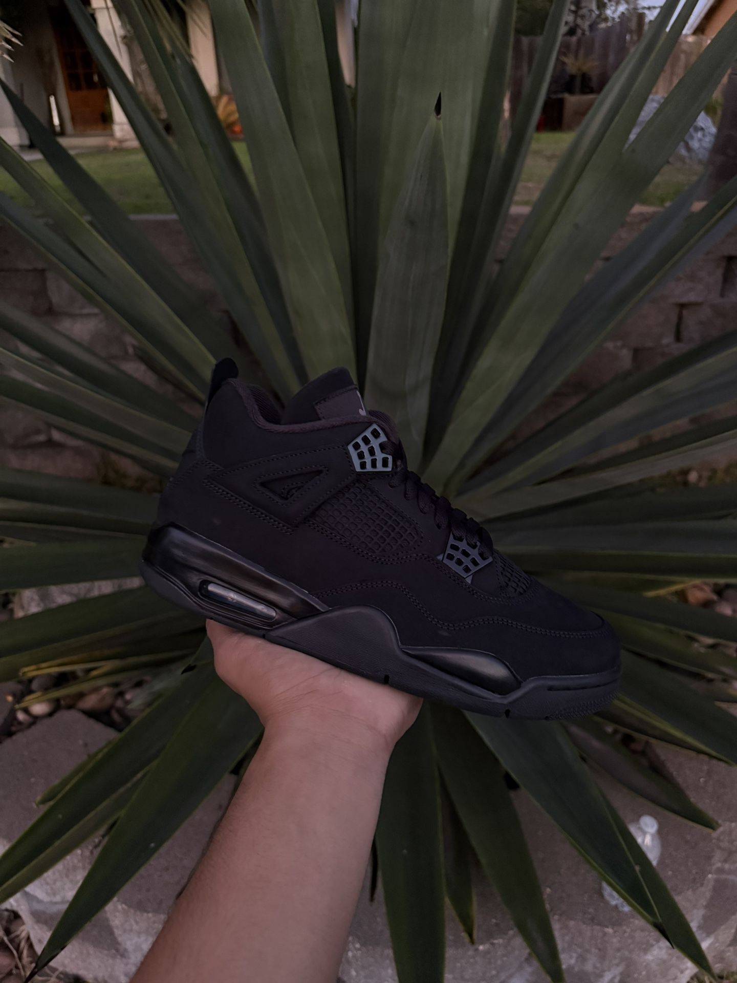 Jordan 4 Black Cat